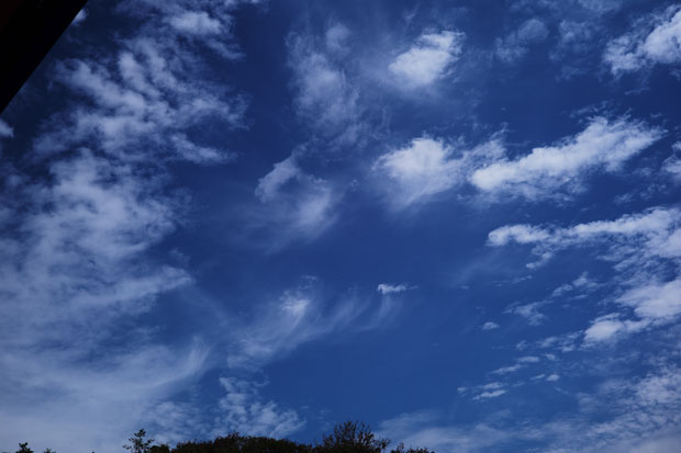 L1014672.jpg