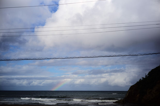 L1014743.jpg