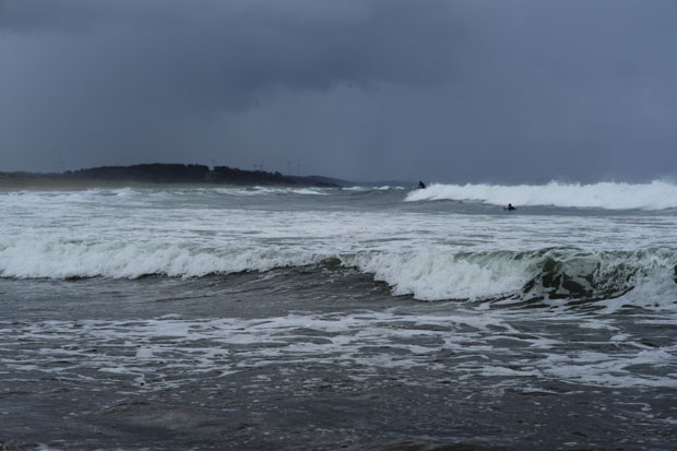 L1014771.jpg