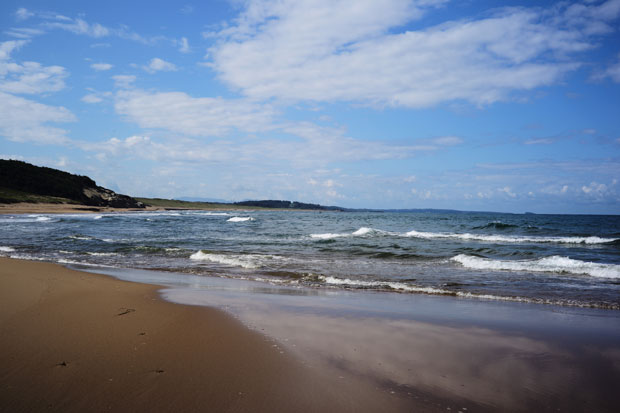 L1014941.jpg