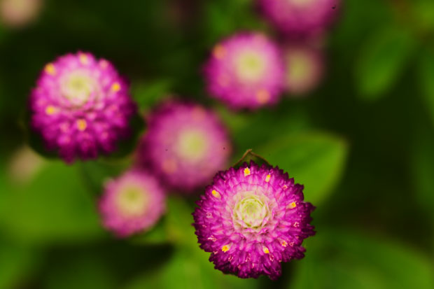 L1015088.jpg