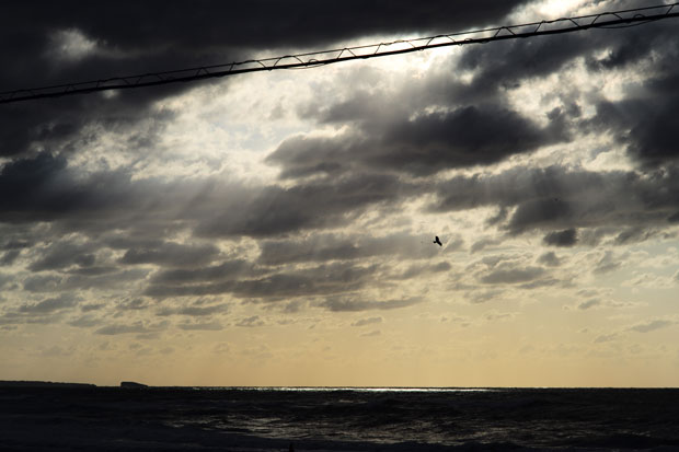 L1015319.jpg