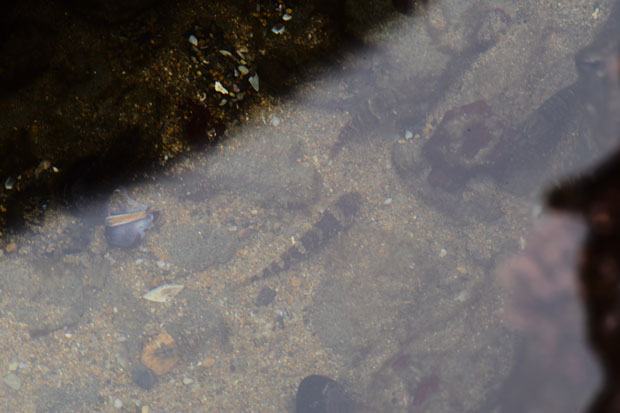 L1015974.jpg