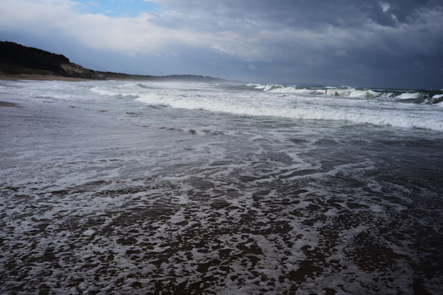 L1016349.jpg