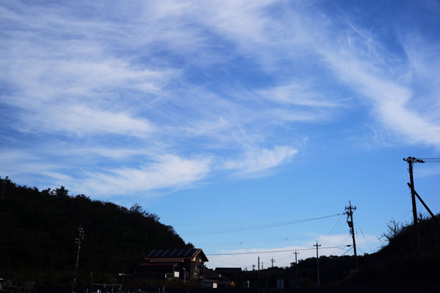 L1016462.jpg