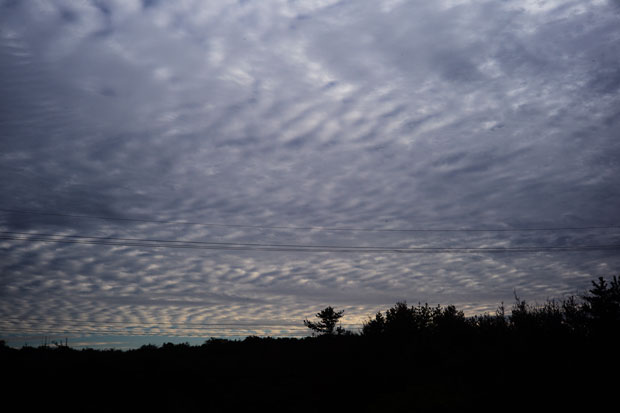 L1016846.jpg