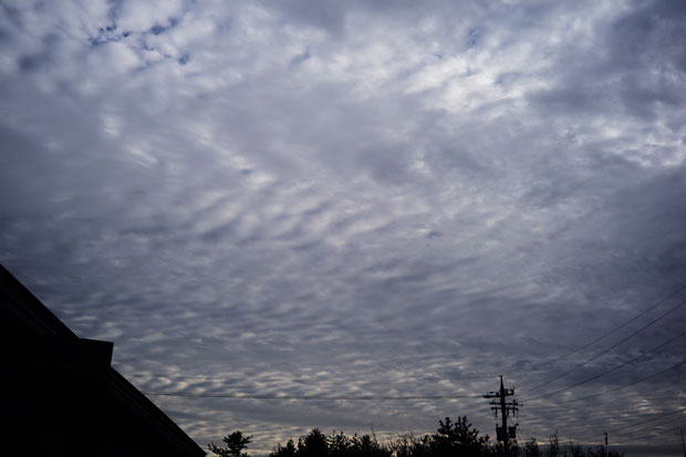 L1016847.jpg