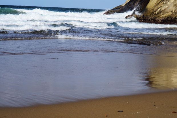 L1017211.jpg
