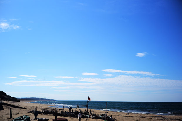 L1017450.jpg