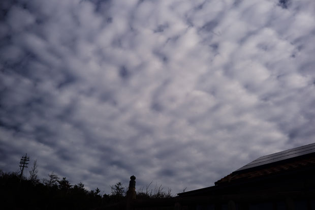 L1017725.jpg