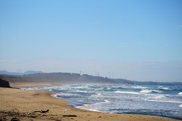 L1017733.jpg