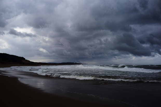 L1017902.jpg