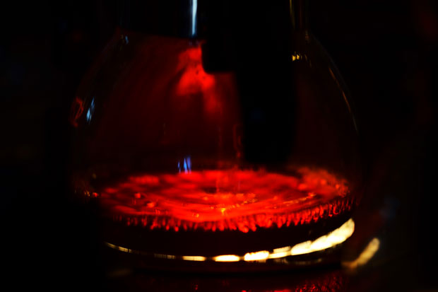 L1018359.jpg