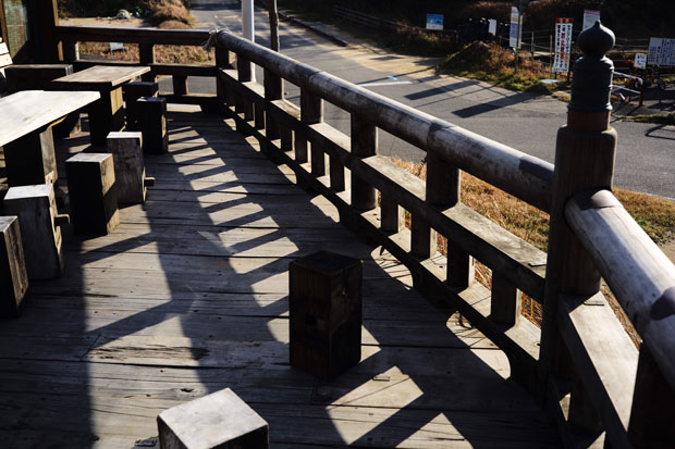 L1018524.jpg