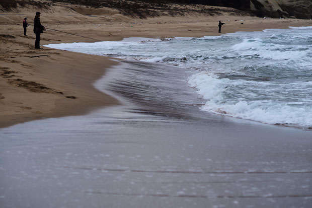 L1018566.jpg