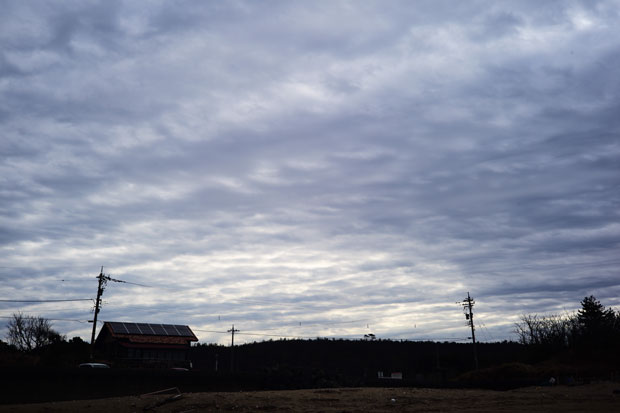 L1018685.jpg