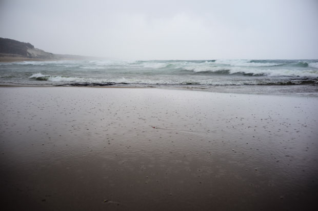 L1018753.jpg