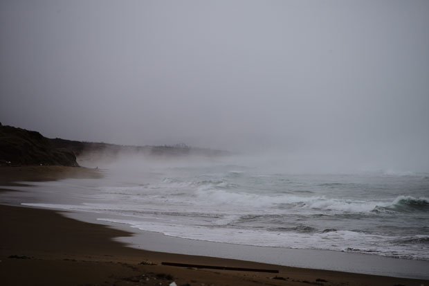 L1019152.jpg