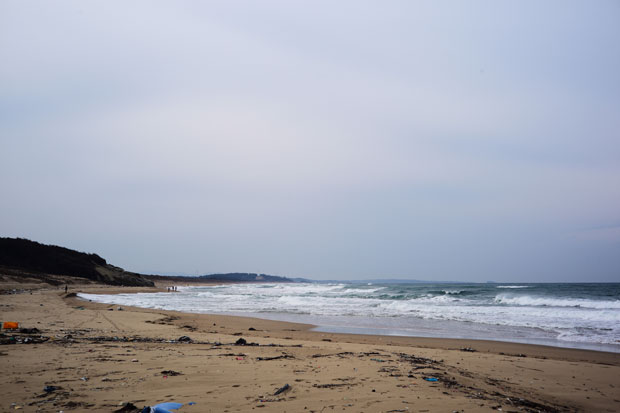 L1019372.jpg