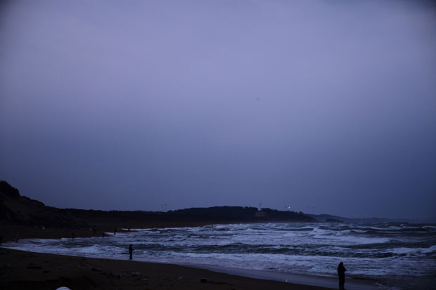 L1019648.jpg