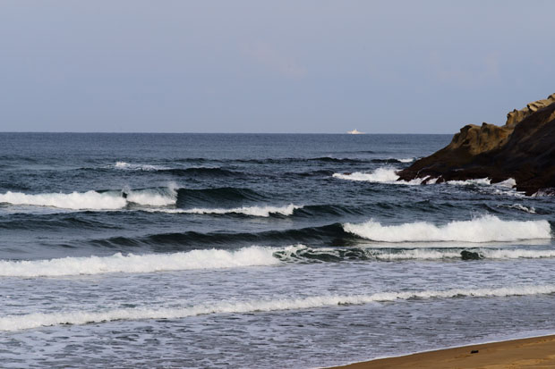 L1019775.jpg