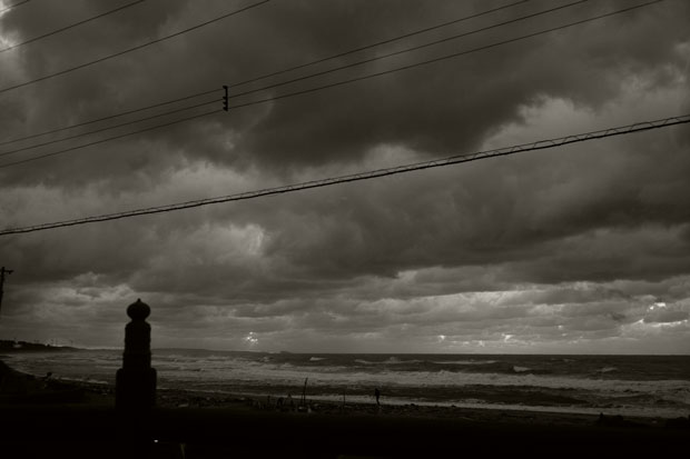 L1020239.jpg