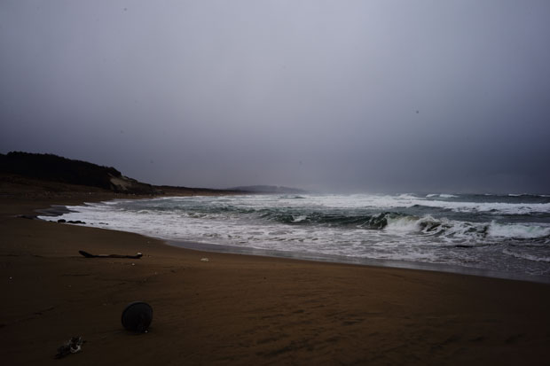L1020334.jpg