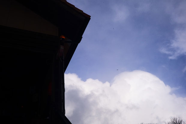 L1020598.jpg
