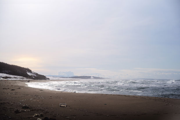 L1020920.jpg