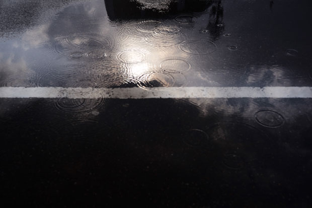 L1021048.jpg