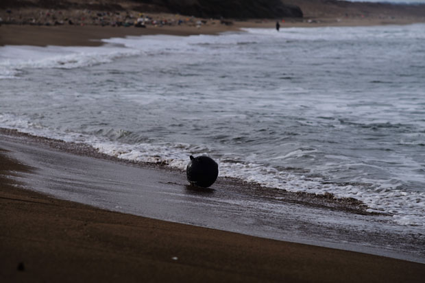 L1021313.jpg