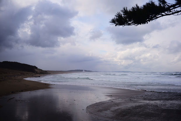 L1021443.jpg