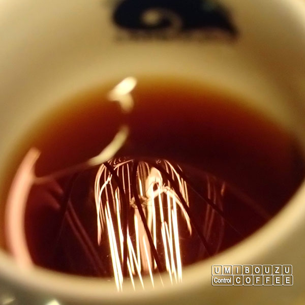 うみぼうずDrip COFFEE　春