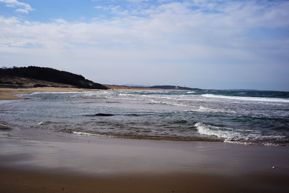 今日の海